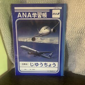Brand New ANA Japanese Nippon Airways Unruled Study Notebook Plain White Paper